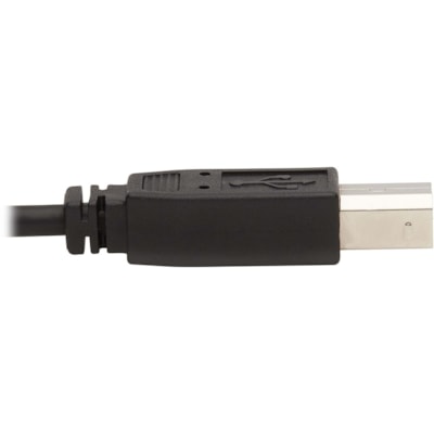 Tripp Lite series KVM Cable - 10 ft (3.05 m) KVM Cable for KVM Switch, Computer, Monitor - First End: 1 x Mini-phone Audio - Male, 1 x DisplayPort 1.2 Digital Audio/Video - Male, 1 x USB 2.0 Type A - Male - Second End: 1 x Mini-phone Audio - Male, 1 x DisplayPort 1.2 Digital Audio/Video - Male, 1 x  Port KVM Cable Kit - DP  USB 3.5 mm Audio (3xM/3x