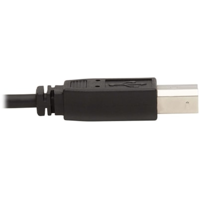 Tripp Lite series P783-010-U KVM Cable - 10 ft (3.05 m) KVM Cable for KVM Switch, Computer - First End: 1 x Mini-phone Audio - Male, 1 x DisplayPort 1.2 Digital Audio/Video - Male, 1 x USB 2.0 Type A - Male - Second End: 1 x Mini-phone Audio - Male, 1 x DisplayPort 1.2 Digital Audio/Video - Male, 1    USB  3.5 mm Audio (3xM/3xM) + USB (M/M)  4K  4:4