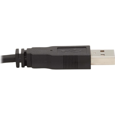 Tripp Lite series P784-006-U KVM Cable - 6 ft (1.83 m) KVM Cable for KVM Switch, Computer, Scanner, Smart Card, Biometric Reader - First End: 1 x 24-pin DVI-I (Dual-Link) Digital Video - Male, 1 x Mini-phone Stereo Audio - Male, 1 x USB 2.0 Type A - Male - Second End: 1 x 24-pin DVI-I (Dual-Link) Di I-I Left Connector - Male Left  Gender - 3.5mm USB-
