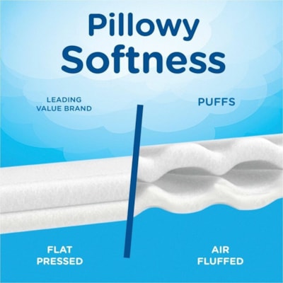 Puffs Plus Lotion with the Scent of Vicks - 2 PlyBox - 124/Box - 24 Box WITH SCENT OF VICKS 