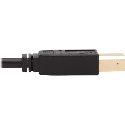 Tripp Lite series P784-006-U KVM Cable - 6 ft (1.83 m) KVM Cable for KVM Switch, Computer, Scanner, Smart Card, Biometric Reader - First End: 1 x 24-pin DVI-I (Dual-Link) Digital Video - Male, 1 x Mini-phone Stereo Audio - Male, 1 x USB 2.0 Type A - Male - Second End: 1 x 24-pin DVI-I (Dual-Link) Di I-I Left Connector - Male Left  Gender - 3.5mm USB-