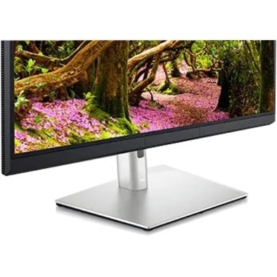 Dell UltraSharp UP3221Q 32" Class 4K UHD LCD Monitor - 16:9 - Black - 31.5" Viewable - In-plane Switching (IPS) Black Technology - 3840 x 2160 - 1000 cd/m² - 60 Hz Refresh Rate - HDMI  MNTR 