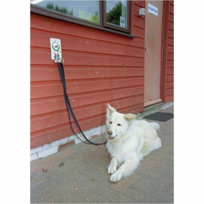 Burgham Company of Animals Halti Training Lead-Lge  