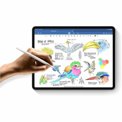 Apple iPad Pro (5th Generation) A2836 Tablet - 11" - Apple M4 - 16 GB - 2 TB Storage - iPadOS 17 - Silver - M4 Deca-core (10 Core) 4.40 GHz - 2420 x 1668 - True Tone Technology, Ultra Retina XDR Display Display - 12 Megapixel Front Camera - 10 Hours Maximum Battery Run Time  SYST 