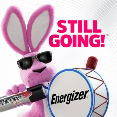 Energizer MAX Alkaline AAA Batteries - For Multipurpose - AAA - 1.5 V DC - 16 / Pack  