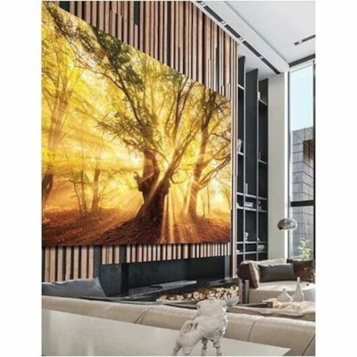 Samsung Premium IW008A Digital Signage Display - LCD - High Dynamic Range (HDR) - Direct View LED - 1600 cd/m²  MNTR 