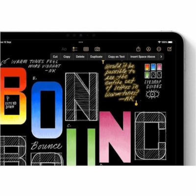 Apple iPad Pro (5th Generation) A2836 Tablet - 11" - Apple M4 - 16 GB - 2 TB Storage - iPadOS 17 - Silver - M4 Deca-core (10 Core) 4.40 GHz - 2420 x 1668 - True Tone Technology, Ultra Retina XDR Display Display - 12 Megapixel Front Camera - 10 Hours Maximum Battery Run Time  SYST 