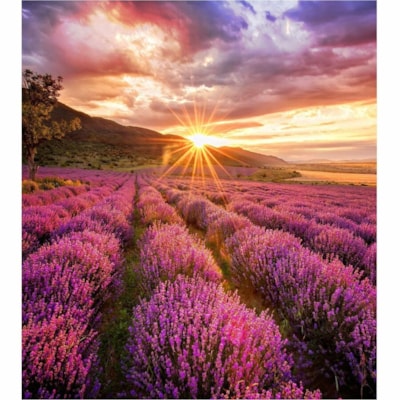 Samsung LED Cabinet 1.5mm Pixel Pitch, IF015H-E - LCD - High Dynamic Range (HDR) - LED - 600 cd/m² L PITCH 600 NITS 