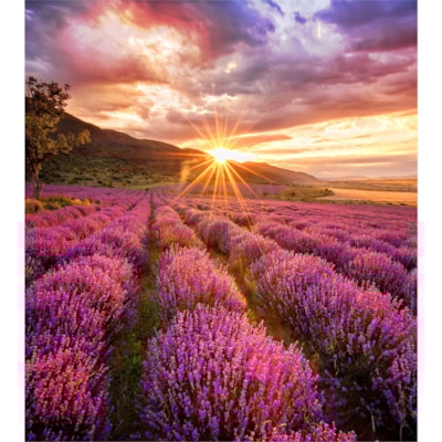 Samsung IF025H-E Digital Signage Display - LCD - 192 x 216 - LED - 2000 cd/m² L PITCH 1000NITS 