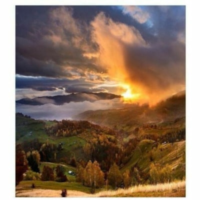 LG Essential GSCC066-GN Digital Signage Display - LCD - 96 x 108 - LED - 5000 cd/m² - Black  MNTR 