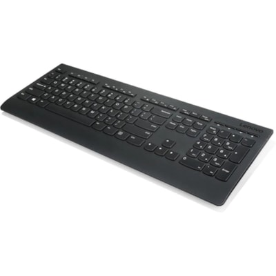 Lenovo Professional Wireless Keyboard - French Canadian - Wireless Connectivity - RF - 2.40 GHz - USB Interface - Multimedia Hot Key(s) - French (Canada) - PC, Windows - Plunger/Rubber Dome Keyswitch - AA Battery Size Supported - Black  WRLS 