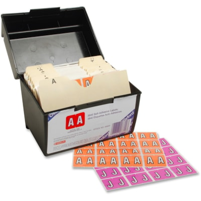 Pendaflex Color Coded Label - "Alphabet" - 1 1/4" (31.75 mm) Width x 15/16" (23.81 mm) Length - Rectangle - Self-adhesive - 3840 / Box 3840 A-Z LABELS DATAFILE COM- PATIBLE MYLAR LAM