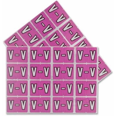 Pendaflex - Étiquettes de classement A-Z End Tab - Alphabet - largeur de 1 1/4 po (31,75 mm) x longueur de 15/16 po (23,81 mm) - Rectangulaires - Lilas - Autocollant - 240 / emballage COMPATIBLE DATAFILE RENFORCÉ DE MYLAR  EMBALLAGE DE 240