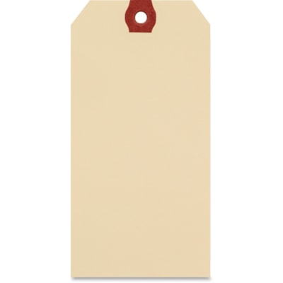 Merangue - Étiquette d'expédition - #6 - longueur de 5,25 po (133,35 mm) x largeur de 2,63 po (66,68 mm) - Rectangulaire - Manille - 100 / emballage RECYCLÉES FORMAT 6