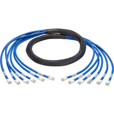 Tripp Lite series - Câble réseau N261-006-6MM-BL - 6 pi (1,83 m) Catégorie 6a Câble réseau pour Périphérique réseau, Commutateur, Panneau - First End : 6 x RJ-45 Réseau - Mâle - Second End : 6 x RJ-45 Réseau - Mâle - 10   cuivre tronc paquet 6xrj45 m / m 6