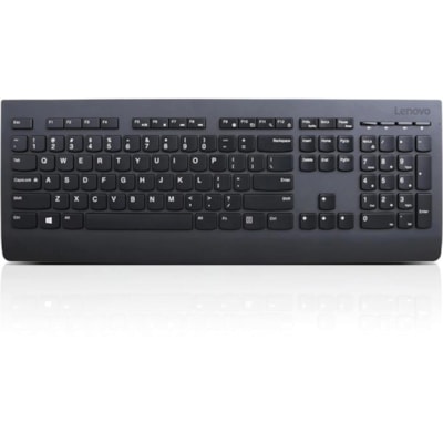 Lenovo Professional Wireless Keyboard - French Canadian - Wireless Connectivity - RF - 2.40 GHz - USB Interface - Multimedia Hot Key(s) - French (Canada) - PC, Windows - Plunger/Rubber Dome Keyswitch - AA Battery Size Supported - Black  WRLS 