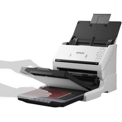 Epson Flatbed Scanning Dock  ACCS 