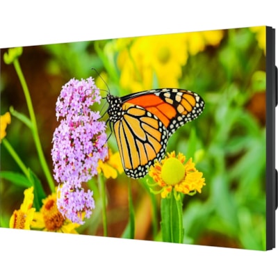 NEC Display Ecrans à affichages dynamiques UN552S - 55 po (1397 mm) LCD - 1920 x 1080 - Direct LED - 700 cd/m² - 1080p - HDMI - USB - DVI - SérieEthernet KMNTR 