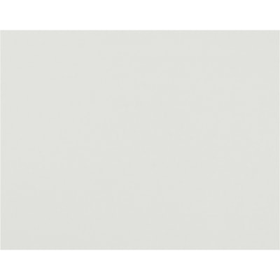 Pacon Bristol Board - Art Project, Poster - 22" (558.80 mm) Width x 12 mil (0.30 mm) Thickness x 28" (711.20 mm) Length - White - 25 / Pack  