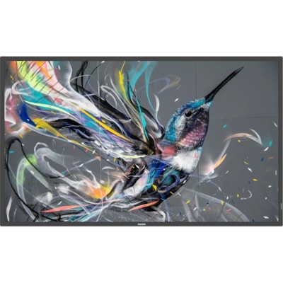 Philips Signage Solutions Q-Line Display - 64.50" (1638.30 mm) LCD Cortex A73 1.15 GHz - 2 GB DDR3 SDRAM - 3840 x 2160 - Direct LED - 400 cd/m² - 2160p - HDMI - USB - SerialEthernet - Android 8.0 Oreo  HD 400 