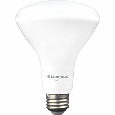 Luminus LED Lightbulb, BR30, 11W, Dimmable, Daylight, 1/Pk - 11 W - 65 W Incandescent Equivalent Wattage - 950 lm - BR30 Size - Daylight Light Color - 25000 Hour - 5000°K (8540°F) Color Temperature - Dimmable - 1 / Pack  