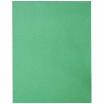 Mark Maker 11" Continuing Record Backs - For Letter 8 1/2" (215.90 mm) x 11" (279.40 mm) Sheet - Green - 100 Pack Green  Pk of 100  no print MAG-C82