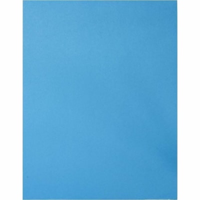Mark Maker 11" Continuing Record Backs - For Letter 8 1/2" (215.90 mm) x 11" (279.40 mm) Sheet - Blue - 100 Pack Blue  Pk of 100  no print MAG-C83
