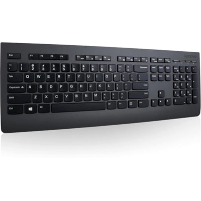 Lenovo Professional Wireless Keyboard - French Canadian - Wireless Connectivity - RF - 2.40 GHz - USB Interface - Multimedia Hot Key(s) - French (Canada) - PC, Windows - Plunger/Rubber Dome Keyswitch - AA Battery Size Supported - Black  WRLS 