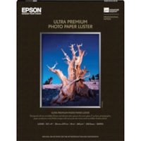 Epson - Papier Photo Premium - format lettre - 8 1/2 po (215,90 mm) x 11 po (279,40 mm) - Lustre - 250 Feuille