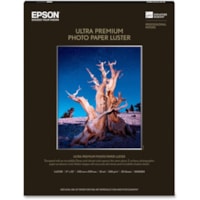 Epson - Papier photo Ultra Premium - C - 17 po (431,80 mm) x 22 po (558,80 mm) - Lustre - 25 / emballage