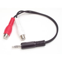 StarTech.com - Câble Audio - 6 po (152,40 mm) Mini-phone/RCA Câble audio pour Appareil Audio, Casque, iPod, Lecteur MP3, Carte Son - Noir - 1 chaque