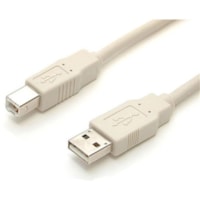 StarTech.com 6 ft Beige A to B USB Cable - M/M - USB - 6 ft - 1 x Type A Male - 1 x Type B Male