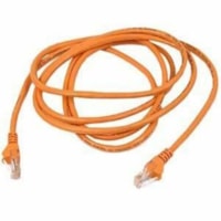 Belkin 900 Series Cat.6 UTP Bulk Cable - 1000 ft Category 6 Network Cable - First End: Bare Wire - Second End: Bare Wire - Orange - 1