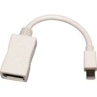 Tripp Lite Mini DisplayPort to DisplayPort Adapter Converter Video Cable mDP to DP M/F - 6" (152.40 mm) A/V Cable for Monitor - First End: 1 x Mini DisplayPort Digital Audio/Video - Male - Second End: 1 x DisplayPort Digital Audio/Video - Female - White 