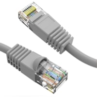 Câble réseau 10 pi Catégorie 6 Axiom - 10 pi Catégorie 6 Câble réseau pour Périphérique réseau - Câble de Raccordement - Doré Connecteur plaqué - 24 AWG - Gris