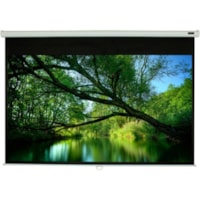 EluneVision Triton 120" Manual Projection Screen - Cinema White - 59" Height x 105" Width