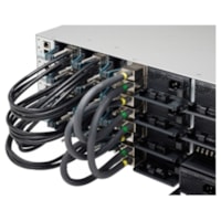 Câble réseau 3.3 pi Cisco - 3.3 pi Câble réseau pour Périphérique réseau