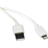 Câble de transfert de données M100-003-WH 3 pi (0,91 m) Lightning/USB - 1 chaque Tripp Lite series - 3 pi (0,91 m) Lightning/USB Câble de transfert de données pour iPad, iPhone, iPod - MFI - Blanc - 1 chaque