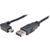 Tripp Lite series UR030-006-RAB USB Data Transfer Cable - 6 ft (1.83 m) USB Data Transfer Cable for PDA, Camera, Cellular Phone - First End: 1 x USB 2.0 Type A - Male - Second End: 1 x 5-pin Mini USB 2.0 Type B - Male - Shielding - Nickel Plated Connector - Gold Plated Contact - Black