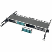 Tripp Lite 10GbE High Density Pass-Through Cassette 12 LC Duplex Connection - 24 x LC Duplex - 24 Port(s) - 24 x RJ-11 - 24 x Duplex - Black