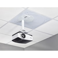 Chief SpeedConnect CMS445P2 Ceiling Mount for Projector - White - 50 lb (22679.62 g) Load Capacity