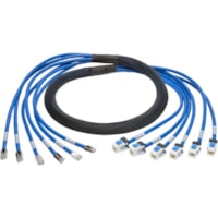 Tripp Lite by Eaton N261-006-6MF-BL Cat.6a Patch Network Cable - 6 ft (1.83 m) Category 6a Network Cable for Network Device, Switch, Patch Panel - First End: 6 x RJ-45 Network - Male - Second End: 6 x RJ-45 Network - Female - 10 Gbit/s - Patch Cable - Gold Plated Contact - 23 AWG - Blue