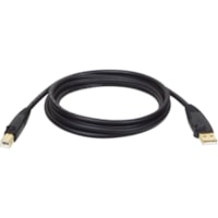 Tripp Lite USB Gold Cable - 15 ft (4.57 m) USB Data Transfer Cable - First End: 1 x USB Type A - Male - Second End: 1 x USB Type B - Male - Gold - 1 Each