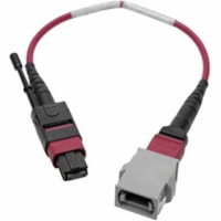 Tripp Lite by Eaton N846-08N-A2B Fiber Optic Duplex Patch Network Cable - 8" (203.20 mm) Fiber Optic Network Cable for Network Device - First End: 1 x MTP/MPO Network - Male - Second End: 1 x MTP/MPO Network - Female - 100 Gbit/s - Patch Cable - 50/125 µm - Magenta