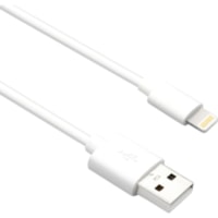 Axiom Lightning to USB-A M/M Adapter Cable - White 6ft - 6 ft Lightning/USB Data Transfer Cable for iPhone, iPad, iPod, Computer, iPad Pro, iPad Air, iPad mini, iPod touch, iPod nano, Bluetooth Speaker, Wall Charger - First End: 1 x USB 2.0 Type A - Male - Second End: 1 x Lightning - Male - MFI - Wh