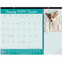 Blueline Man's Best Friend Monthly Desk Pad Calendar 22"x 17" , Bilingual - Julian Dates - Monthly - January 2025 to December 2025 - 1 Month Single Page Layout - 17" (431.80 mm) x 22" (558.80 mm) Sheet Size - Desk Pad - Paper - Bilingual, Notes Area, Tear-off, Event Planning Sheet - 1 Each