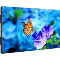 NEC Display 55" Ultra-Narrow Bezel Professional-Grade Display - 55" (1397 mm) LCD - 1920 x 1080 - Direct LED - 500 cd/m² - 1080p - HDMI - USB - DVI - SerialEthernet