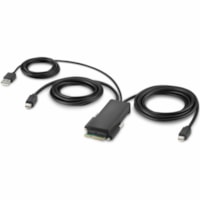 Câble audiovisuel Cybersecurity and Secure KVM 6 pi Belkin - 6 pi Câble audiovisuel pour Périphérique audio/vidéo, Console KVM, Commutateur KVM, Ordinateur, Moniteur, Clavier, Souris, Télécommande - Supports up to 3840 x 2160 - Doré Connecteur pl