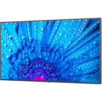 NEC Display 43" Ultra High Definition Professional Display - 43" (1092.20 mm) LCD - High Dynamic Range (HDR) - 3840 x 2160 - 16:9 - 8 ms - Edge LED - 500 cd/m² - 2160p - Speakers - HDMI - USB - SerialEthernet - Energy Star