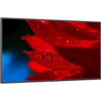 NEC Display 43" Wide Color Gamut Ultra High Definition Professional Display - 43" (1092.20 mm) LCD - High Dynamic Range (HDR) - 3840 x 2160 - 16:9 - 8 ms - Edge LED - 500 cd/m² - 2160p - HDMI - USB - SerialEthernet - Energy Star